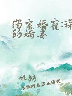 独家婚宠:琛少的娇妻