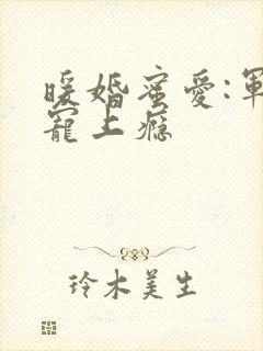 暖婚蜜爱:军官宠上瘾