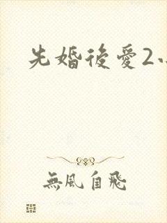 先婚后爱2小说