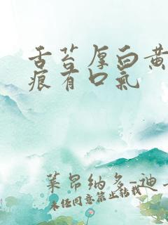 舌苔厚白黄有齿痕有口气