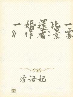 一婚还比一婚高》作者:晨雾的光