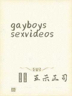 gayboyssexvideos