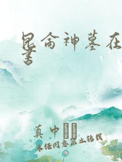 昆仑神墓在线听书