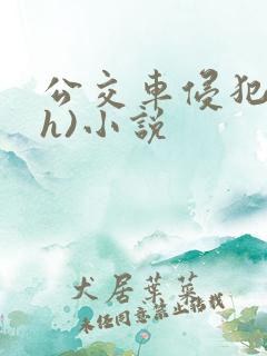 公交车侵犯肉(h)小说