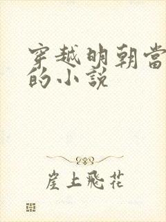 穿越明朝当崇祯的小说