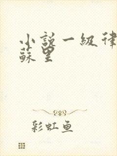 小说一级律师木苏里