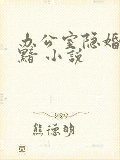 办公室隐婚 轻黯 小说
