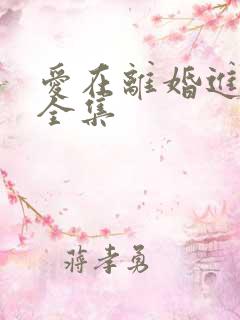 爱在离婚进行时全集