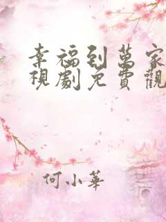 幸福到万家 电视剧免费观看