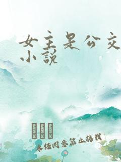 女主是公交车的小说