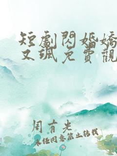 短剧闪婚娇妻美又飒免费观看