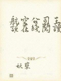 航空公司王静小说在线阅读