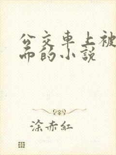 公交车上被摸下面的小说
