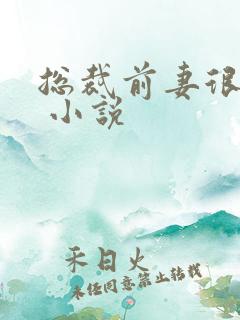总裁前妻很抢手 小说