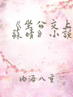 《坐公交上班的苏晴》小说