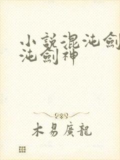 小说混沌剑神混沌剑神