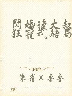 闪婚后大叔每天狂宠我结局是什么