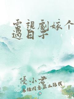 电视剧嫁个老公过日子