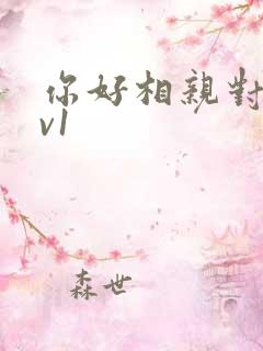 你好相亲对象1v1