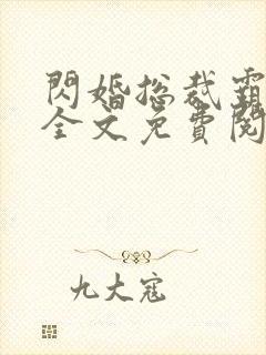 闪婚总裁霸道宠全文免费阅读