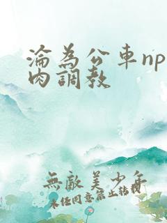 沦为公车np纯肉调教