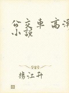 公交车 高潮 小说