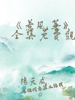 《惹风华》短剧全集免费观看