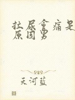 拉尿会痛是什么原因男