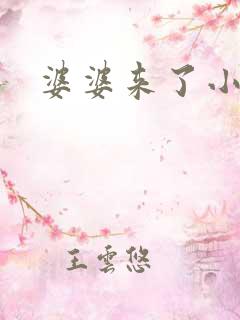 婆婆来了小说
