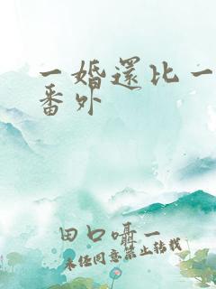 一婚还比一婚高番外