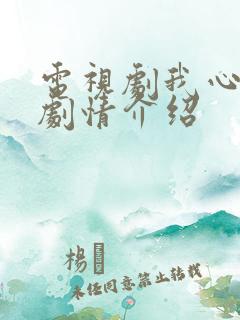 电视剧我心灿烂剧情介绍