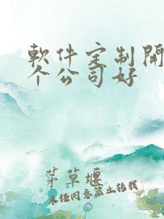 软件定制开发哪个公司好