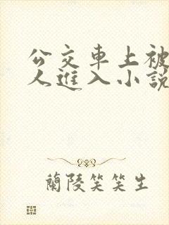 公交车上被陌生人进入小说