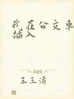 我在公交车上被插入