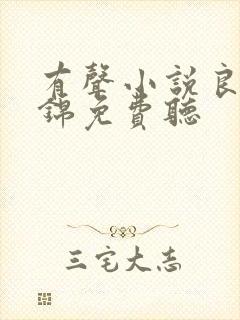 有声小说良陈美锦免费听
