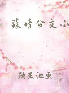 苏晴公交小说