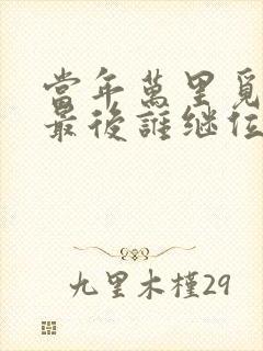 当年万里觅封侯最后谁继位了