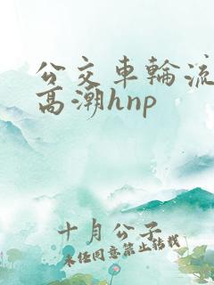 公交车轮流操到高潮hnp
