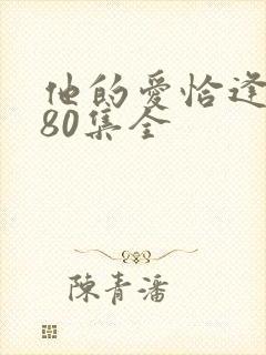 他的爱恰逢其时80集全