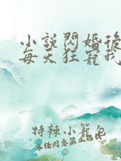 小说闪婚后大叔每天狂宠我免费阅读