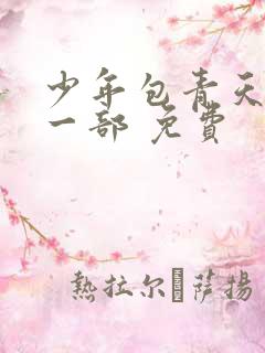少年包青天 第一部 免费