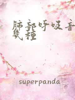 肺部呼吸音有哪几种