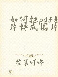 如何把pdf照片转成图片