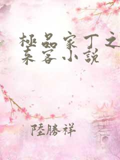 极品家丁之远方来客小说