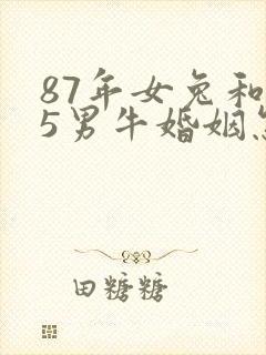 87年女兔和85男牛婚姻怎样