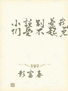 小说别惹我,你们受不起免费阅读全文