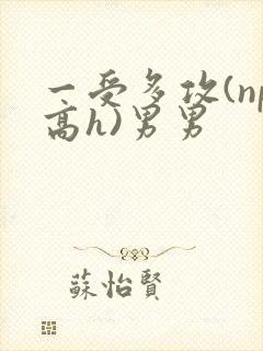 一受多攻(np高h)男男