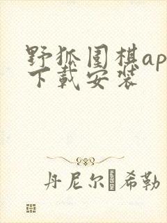 野狐围棋app下载安装