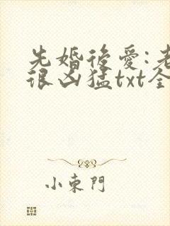 先婚后爱:老公很凶猛txt全文下载