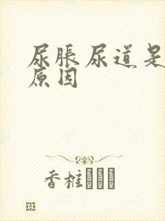 尿胀尿道是什么原因